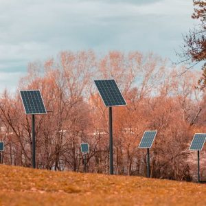 Solar-panels-powering-lights-in-the-park-2023-11-27-05-22-27-utc-qwd4xbxpfvz70rszjsbv63pni8ugrgjsq40g0rngl4